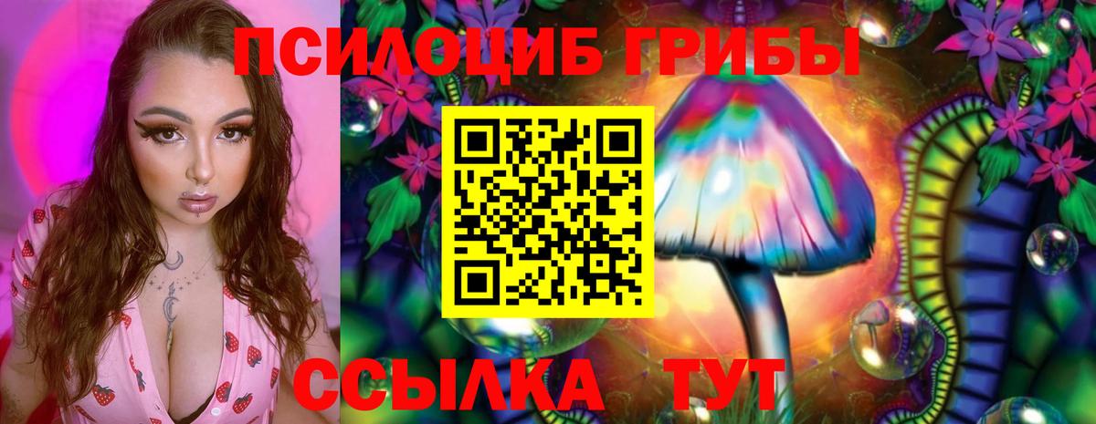 как найти закладки  Псилоцибиновые грибы мухоморы  Вход с VPN  Галлюциногенные грибы Psilocybe  Нижний Новгород 